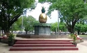 Tragedi Pohon Tumbang Timpa Jamaah Shalat Id di Alun-Alun Pemalang, Dua Meninggal Dunia